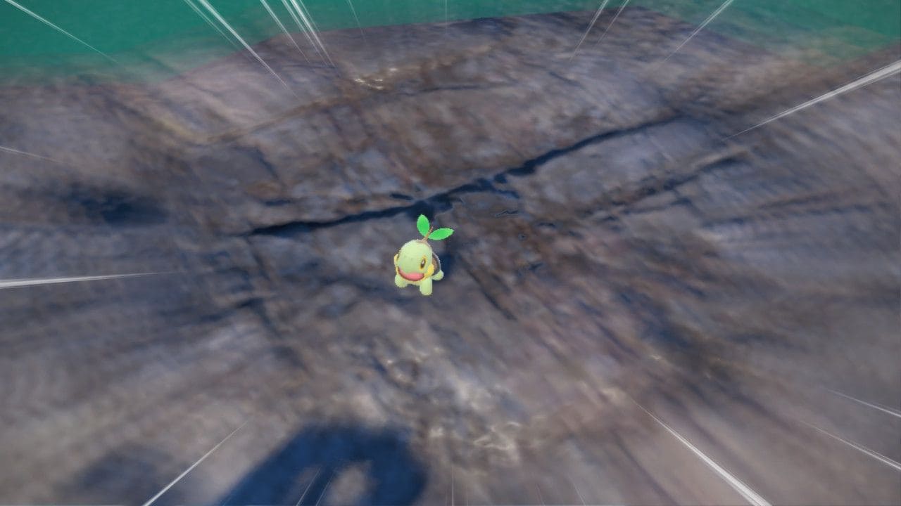 Pokemon Indigo Disk Turtwig – How to catch and evolve Turtwig