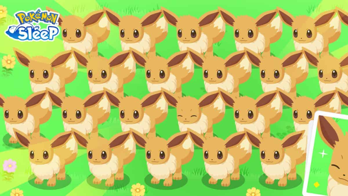 Pokemon Sleep Eevee Week – Everything you need to know