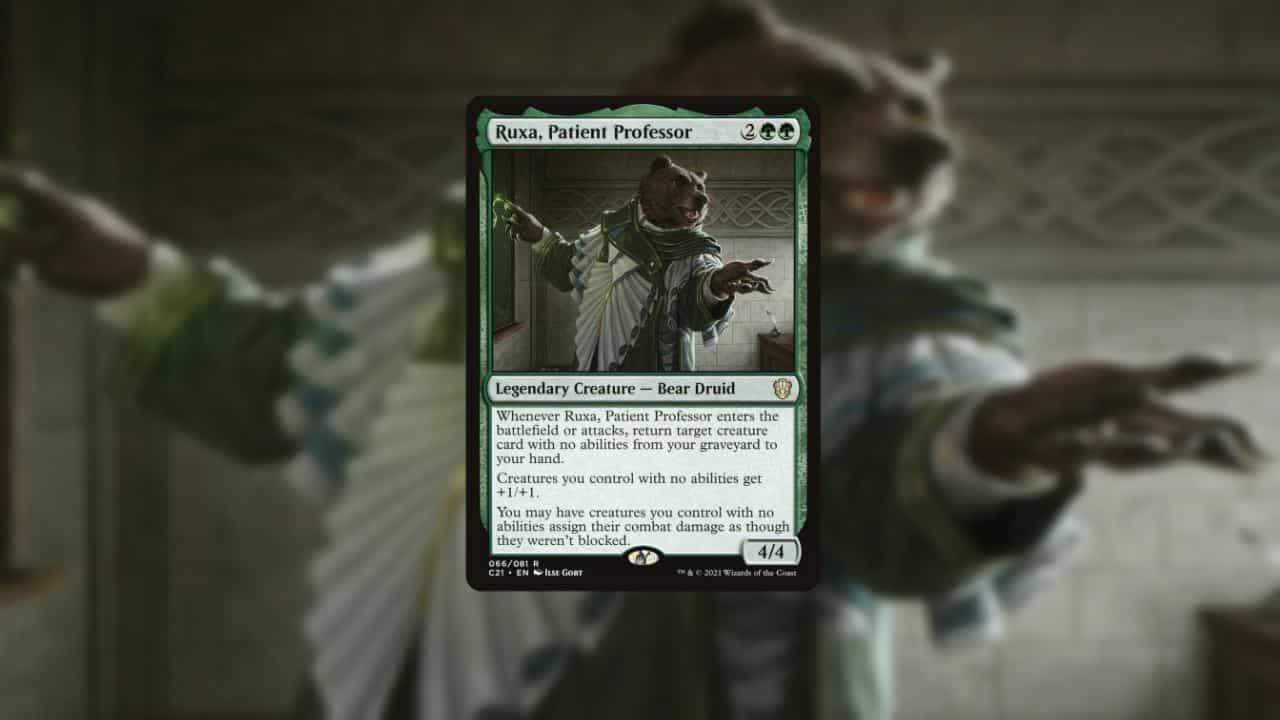 card image of ruxa patient professor a brown bear with green scraf in magic the gathering