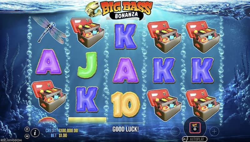 Slot Video (Video Slots)