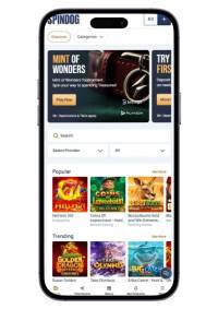 SpinDog – Beste betaalmethoden casino zonder Cruks