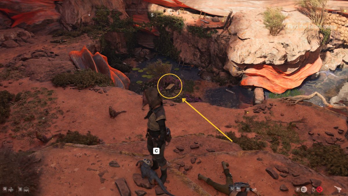 Star Wars Outlaws Gushiro Nest -Kay standing on cliff overlooking chest