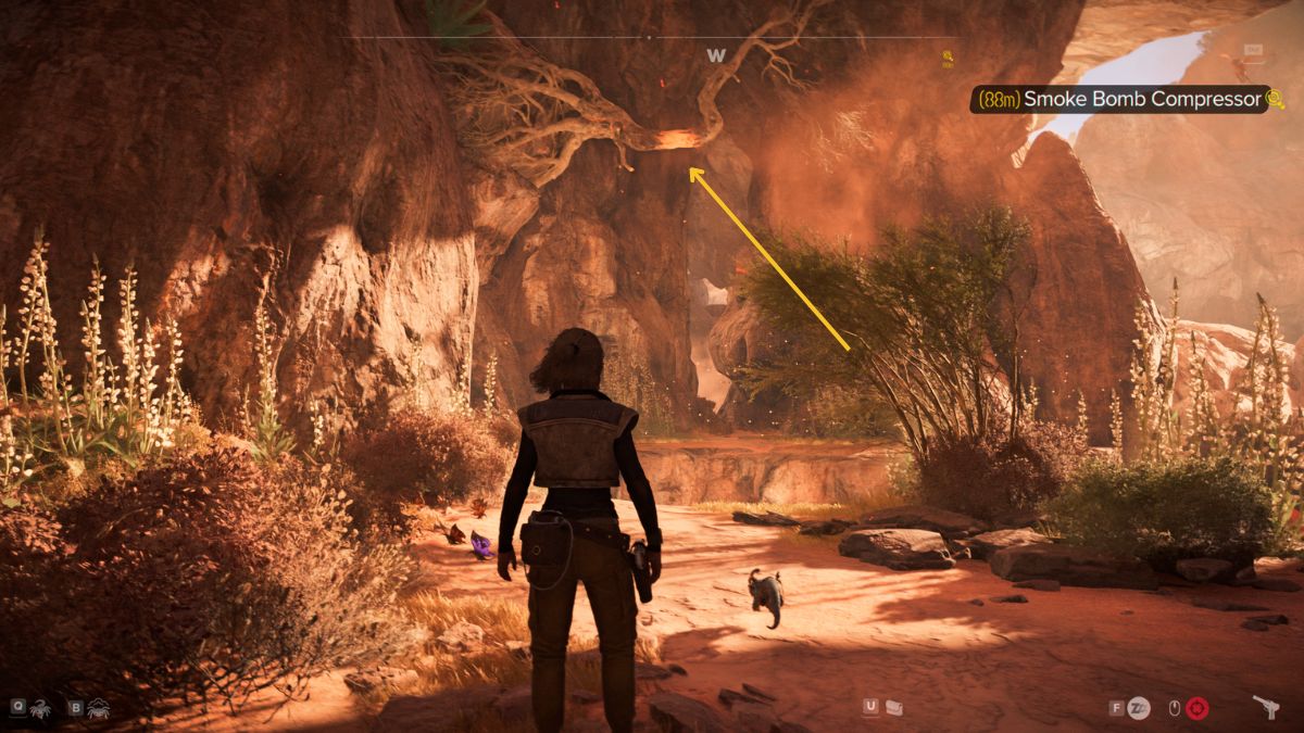 Star Wars Outlaws Smoke Bomb Compressor - Kay near branch in cave