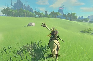 Tears of the Kingdom Zelda Speedrunners