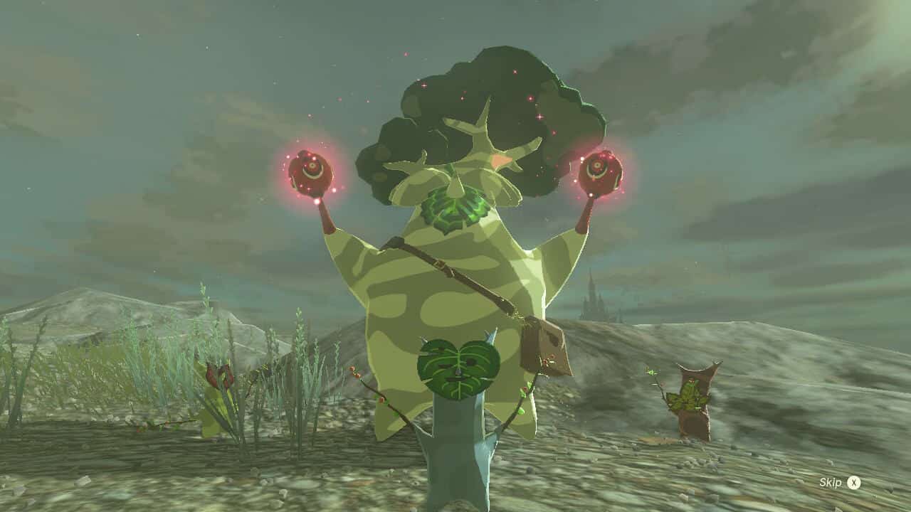 Tears of the Kingdom Hestu locations: Link and Hestu.