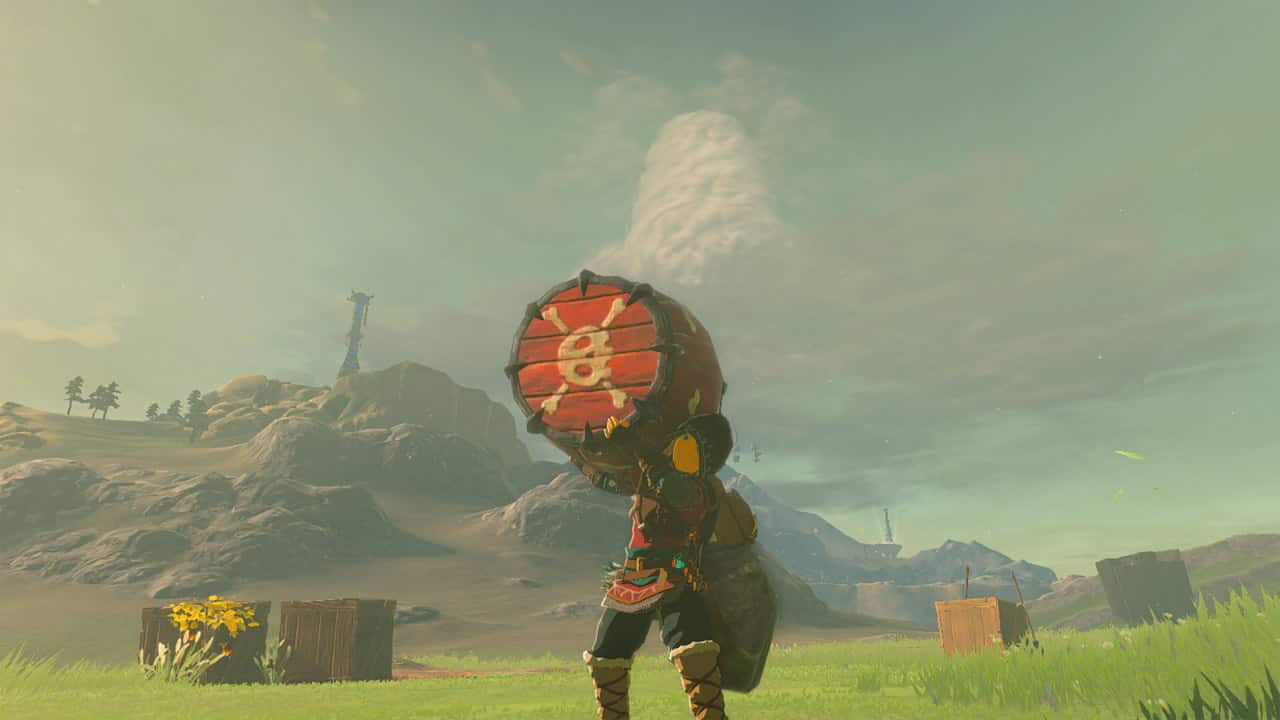 Tears of the Kingdom screenshot Link holds explosive