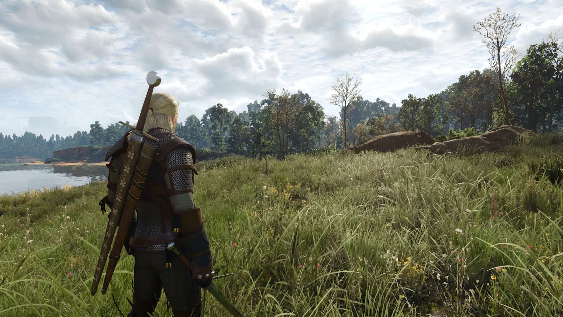 Geralt surveying the open countryside in The Witcher 3 Wild Hunt