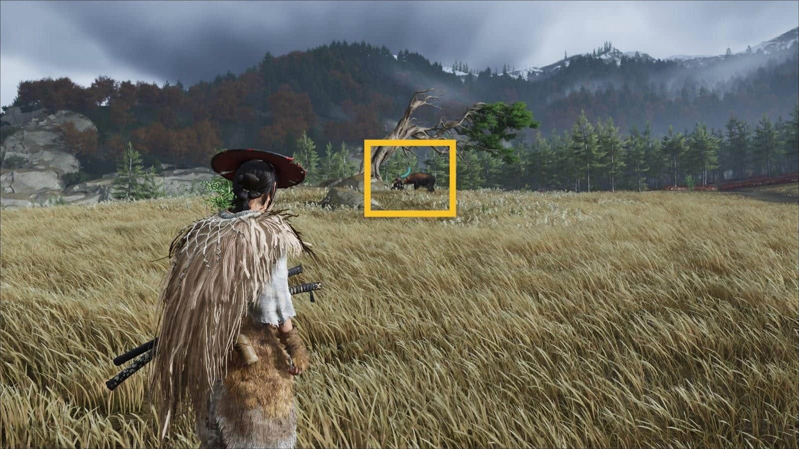 A person in traditional attire stands in a grassy field, watching a deer under a twisted tree in Ghost of Yotei