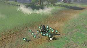Tears of the Kingdom item duplication glitch