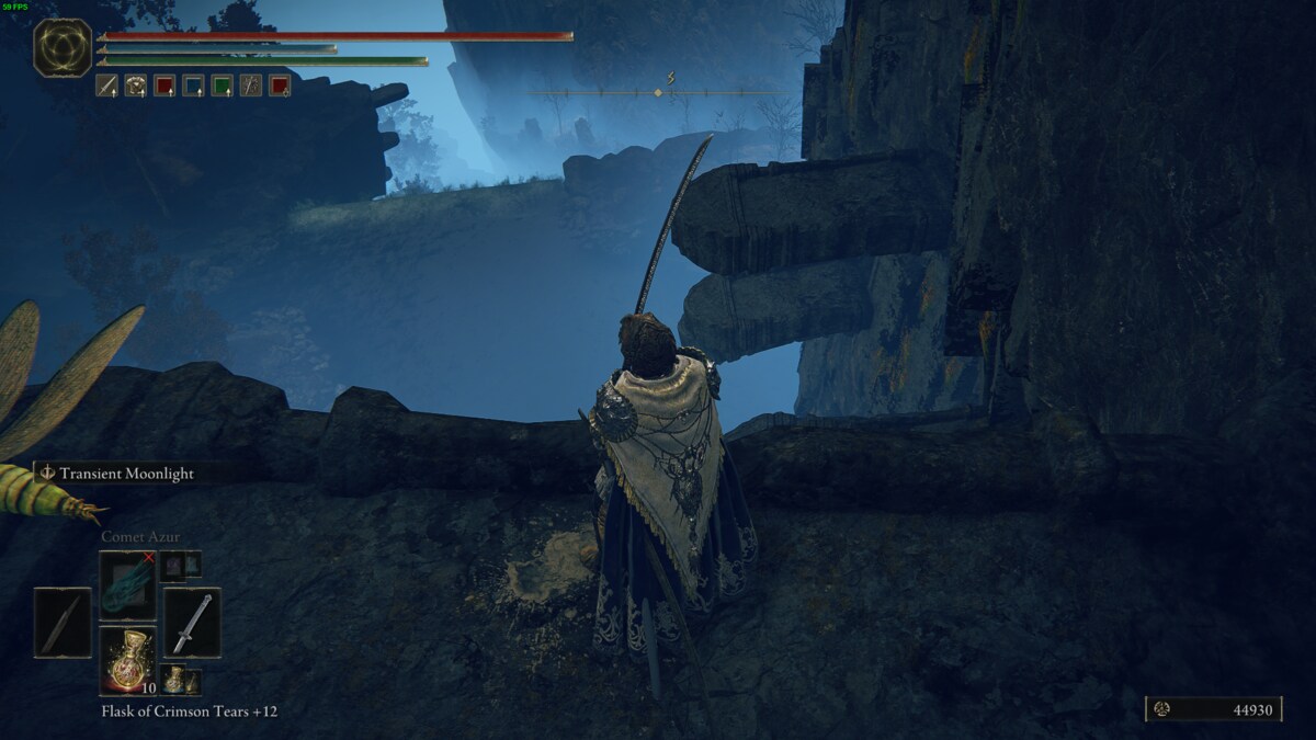 Elden Ring Shadow of the Erdtree Abyssal Woods: tarnished in the realm of shadow.