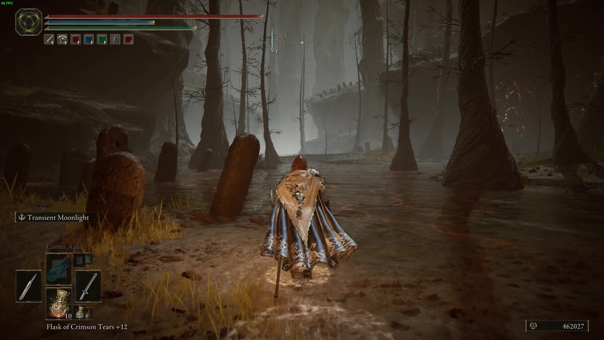 Elden Ring Shadow of the Erdtree Abyssal woods: tarnished in the Abyssal Woods.