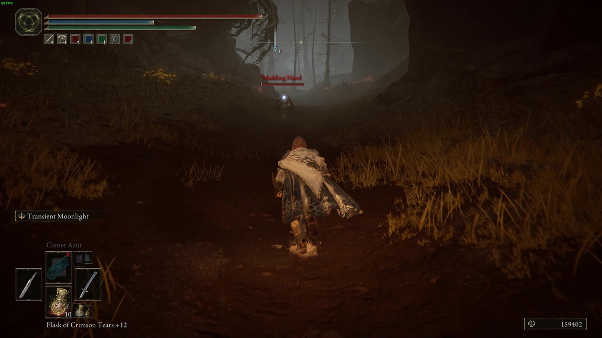 Elden Ring Shadow of the Erdtree Abyssal woods: tarnished in the Abyssal Woods.