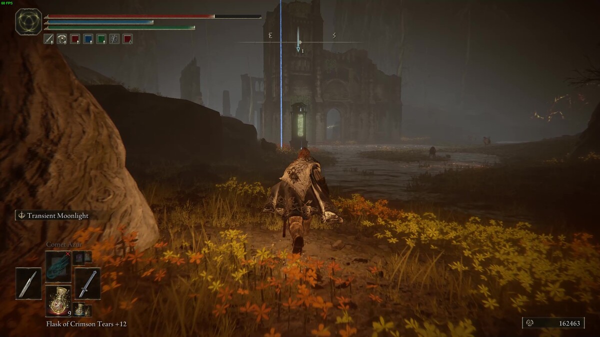 Elden Ring Shadow of the Erdtree Abyssal woods: tarnished in the Abyssal Woods.