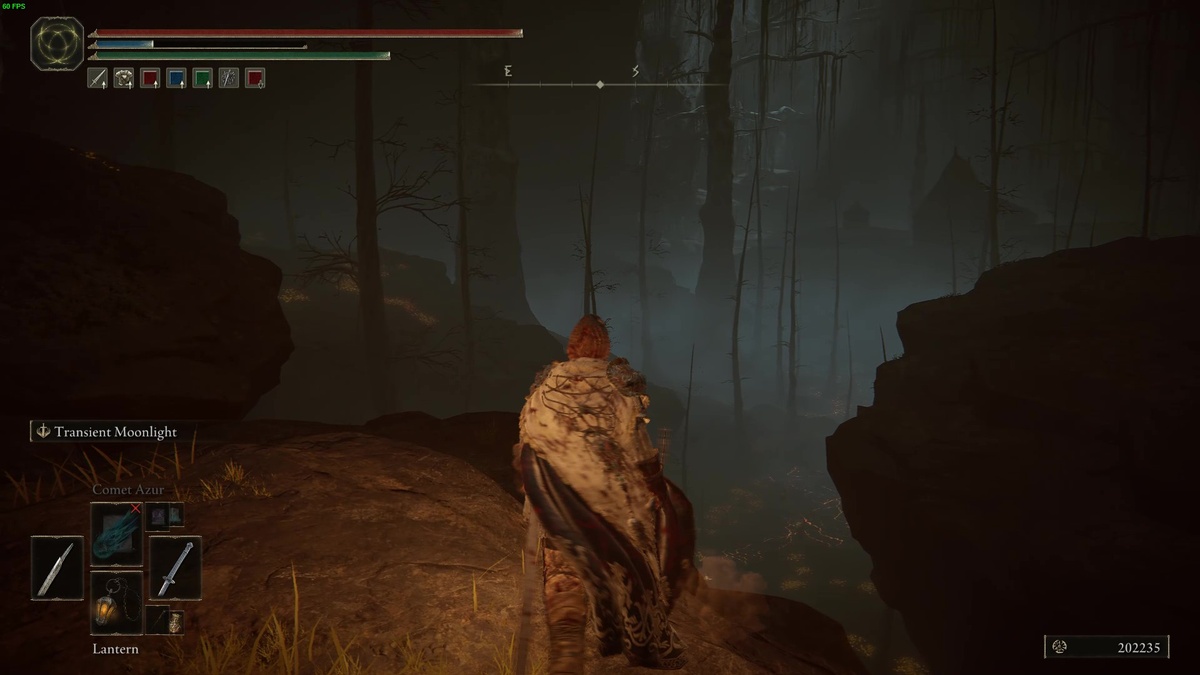 Elden Ring Shadow of the Erdtree Abyssal woods: tarnished in the Abyssal Woods.