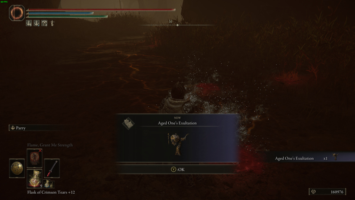 Elden Ring Shadow of the Erdtree talisman: Tarnished in the Abyssal Woods.