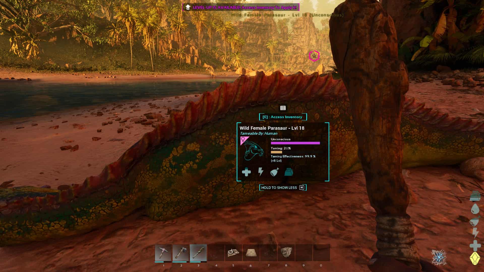 ARK Survival Ascended how to tame: An unconscious Parasaur being tamed.