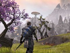 The Elder Scrolls Online Interview: Everything You need To Know About The Game