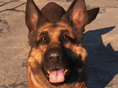 5 Things Every Fallout 4 Beginner Must Know – Guide