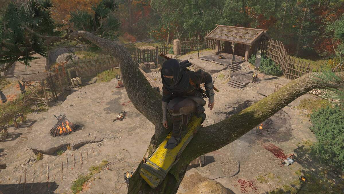 Assassin's Creed Shadows kill the executioner: Naoe on a tree overlooking Nanatsumatsu.