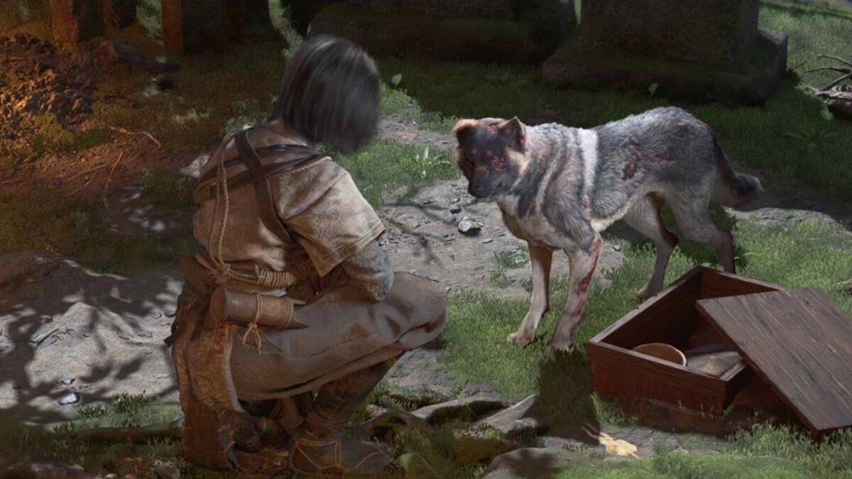 Assassin's Creed Shadows Thrown to the Dogs: Naoe and a dog.