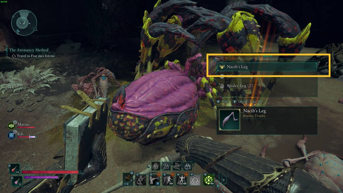 Avowed Nacib: Nacib corpse inventory.