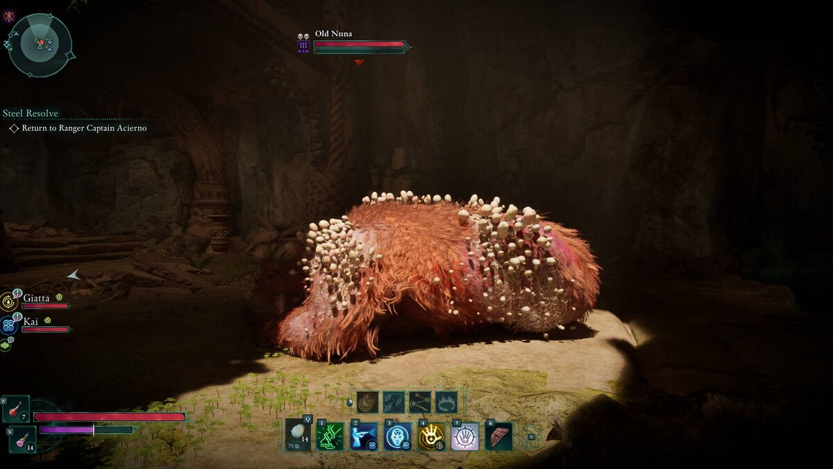 Avowed Old Nuna: bear in a cave.