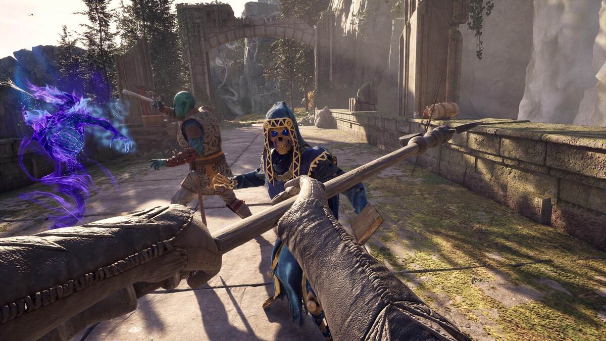 Avowed pre-order bonus: skeletons fighting.