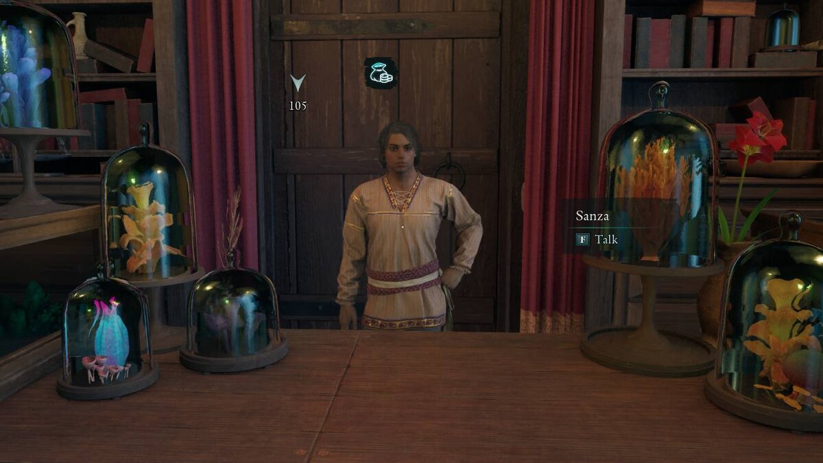 Avowed Sanza: Sanza's Emporium.