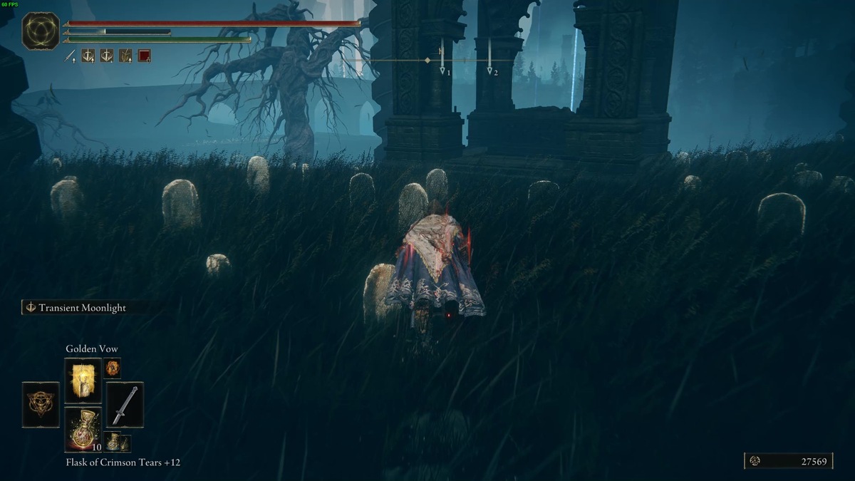 Elden Ring Shadow of the Erdtree best early weapons: Tarnished in the realm of shadow.