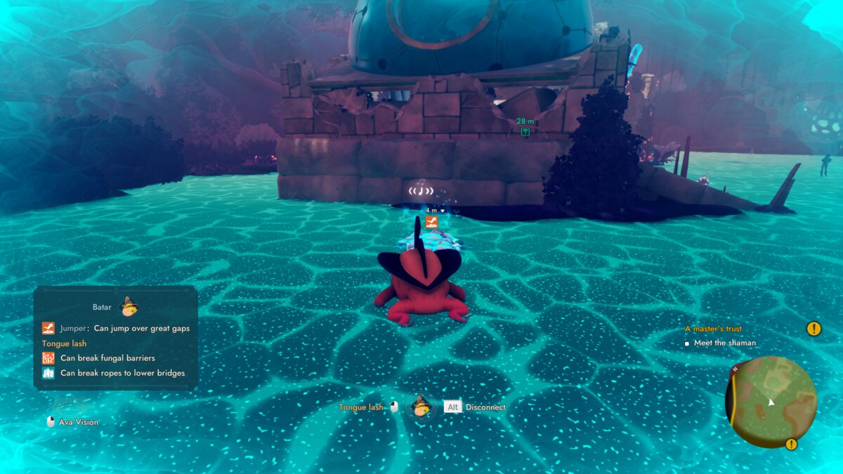 Creatures of Ava backpack pocket locations: Vic exploring Ava.