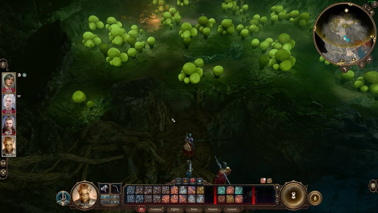 Baldur's Gate 3 save Baelen: An image of the party near a bunch of explosive bibblebang plants.