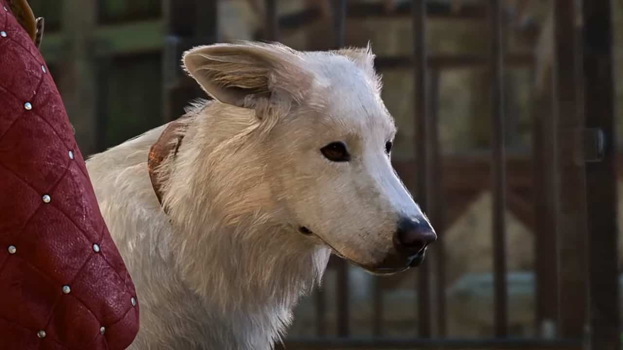 Baldur’s Gate 3 continues 2023’s trend of good boys