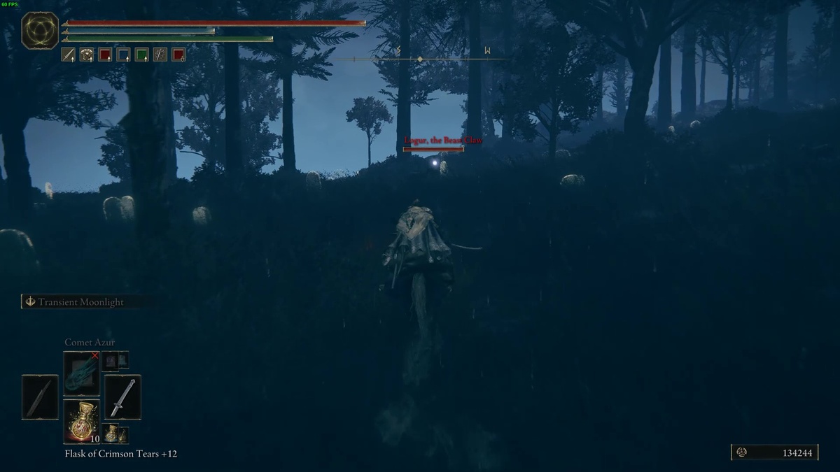 Elden Ring Shadow of the Erdtree best early weapons: Tarnished in the realm of shadow.