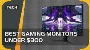 best gaming monitor under 300