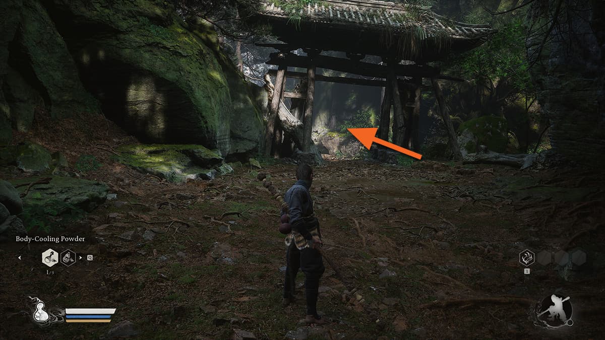 Image of a trail leading to Skandha of Form in Black Myth: Wukong.