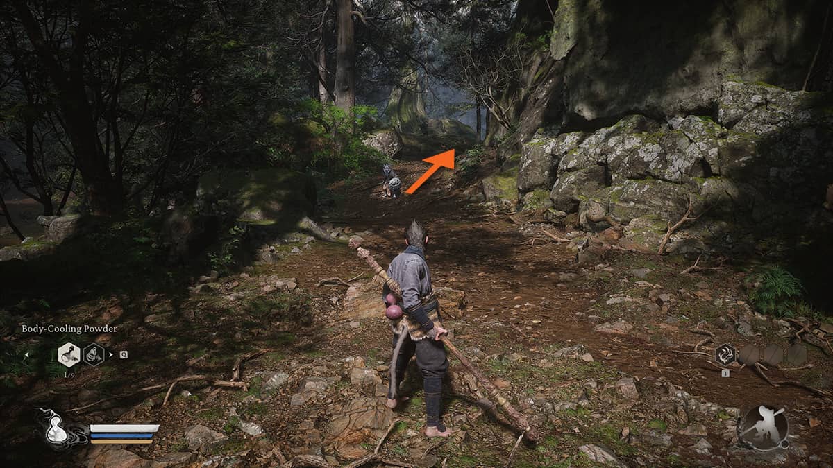 Image of a trail leading to Skandha of Form in Black Myth: Wukong.