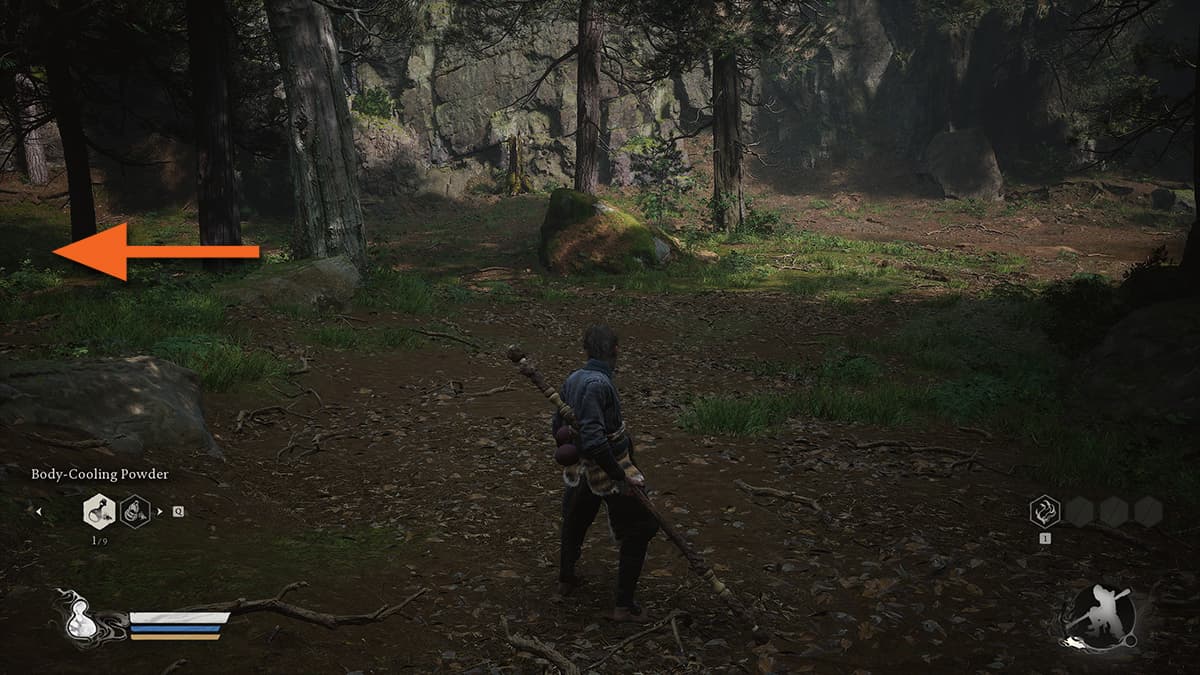 Image of a trail leading to Skandha of Form in Black Myth: Wukong.
