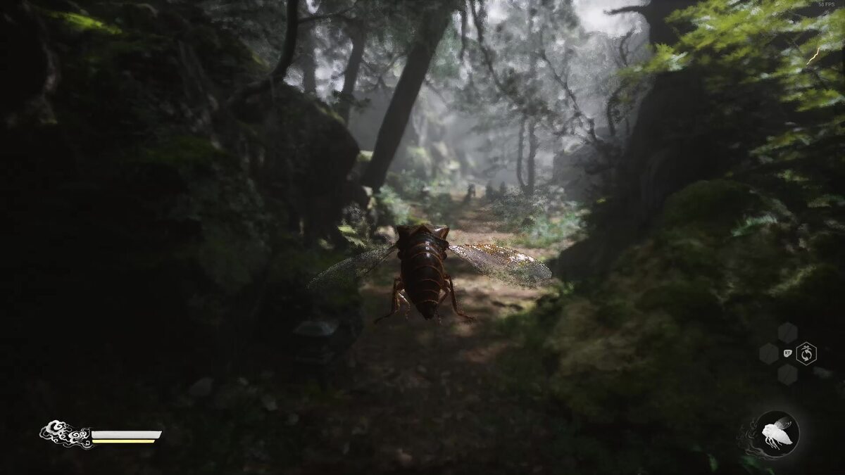 Black Myth Wukong how to turn into cicada: A cicada flying through a forested area.