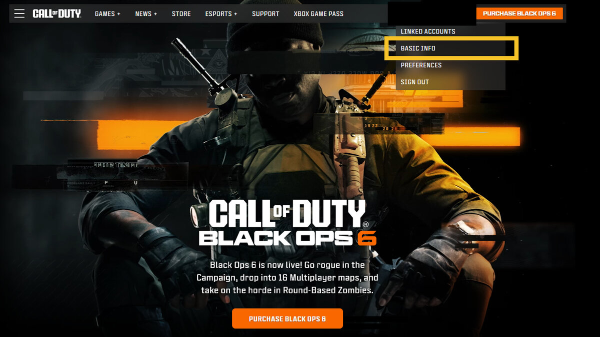 How to change display name in Black Ops 6: Call of Duty website settings menu.