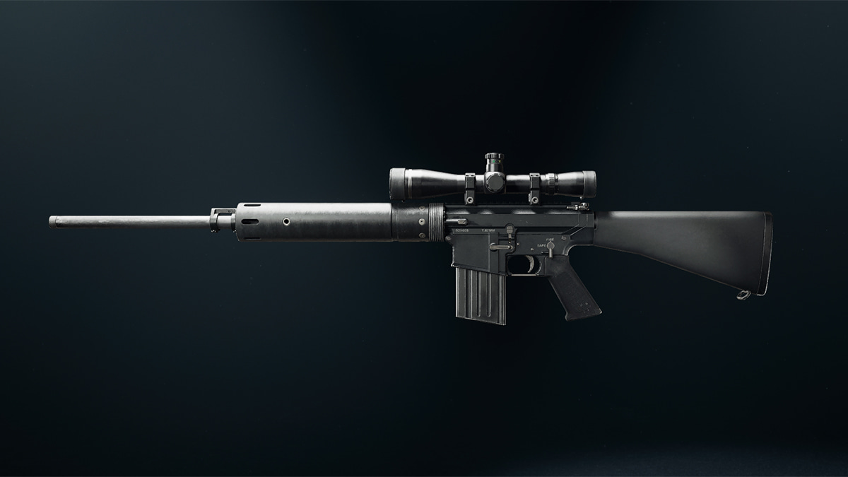 Image of the DM-10 marksman rifle in Call of Duty Black Ops 6.