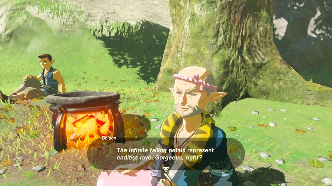 Tears of the Kingdom queer representation: Bolson sat next to a cooking pot talking to Link about falling petals representing endless love.