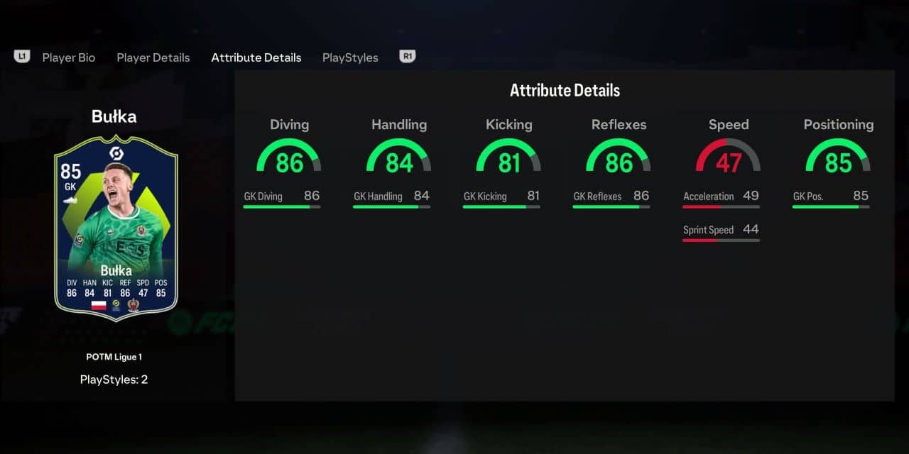 bulka potm player profile