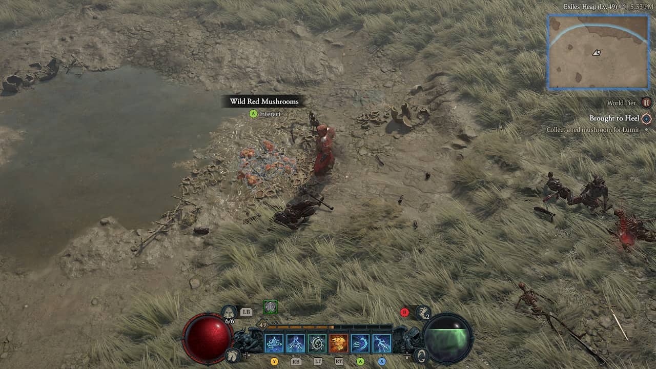 Diablo 4 Brought to Heel quest walkthrough: An image of the player next to wild red mushrooms, a quest item essential to complete the Brought to Heel quest in the Hawezar region.