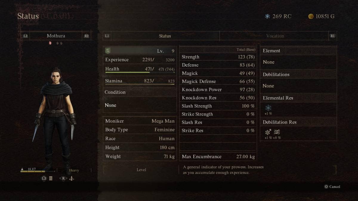 Dragon's Dogma 2 how to level up fast:

A screenshot of my character's statistics screen.