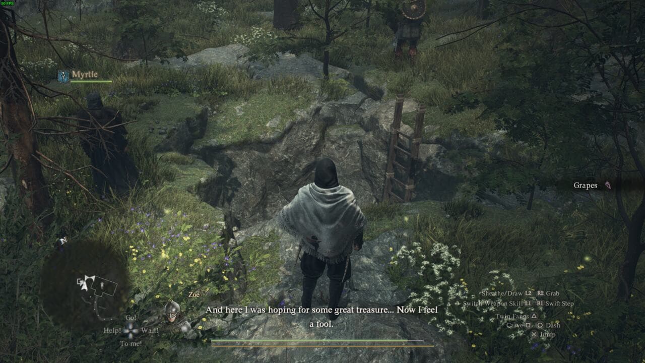 Dragon's Dogma 2 Nameless Village: thief standing near a large hole with a ladder going down.