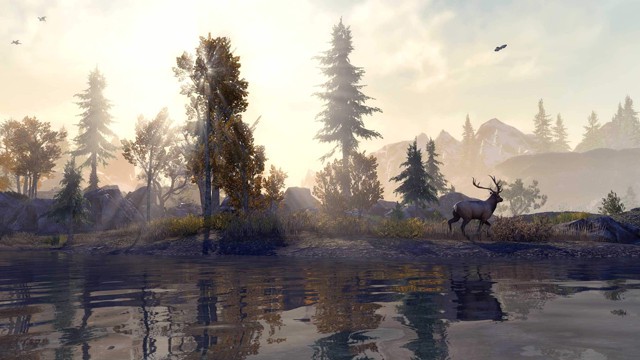 The Elder Scrolls Online: Console Enhanced launch delayed by one week