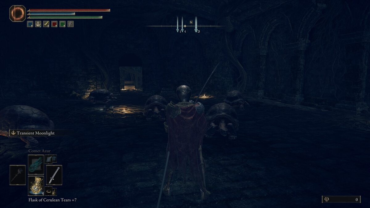 Elden Ring Green Turtle Talisman: A player standing in a dark room filled with tortoises, with a chest at the far end.