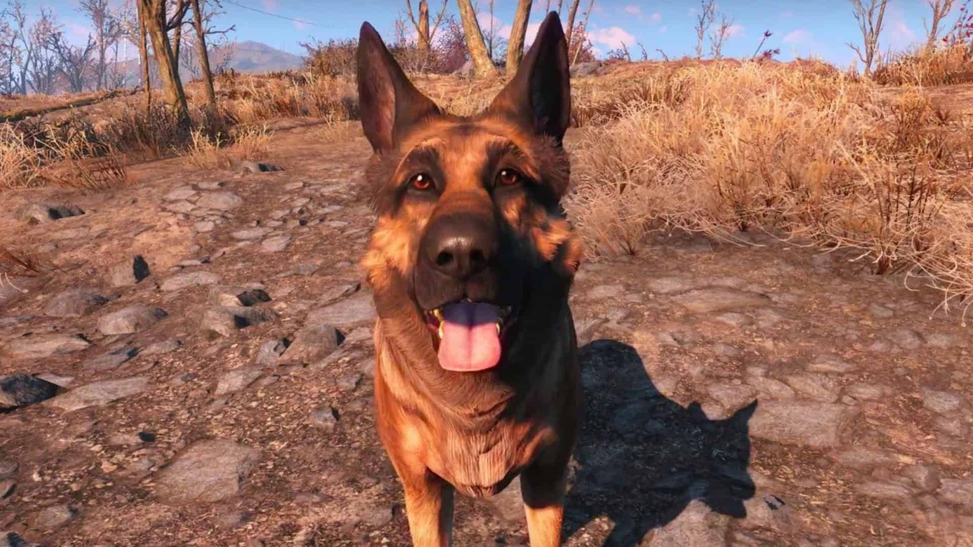Fallout 4 best mods: A German Shepherd looks at the player in the game. Image via Nexus Mods.