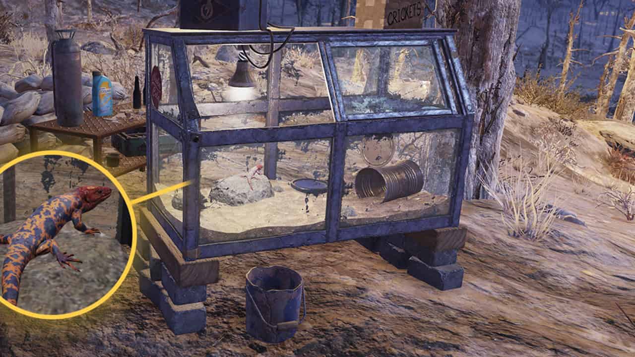 Fallout 76 Atomic Shop: The Pet Lizard Terrarium item in the game. Image via Bethesda Studios.