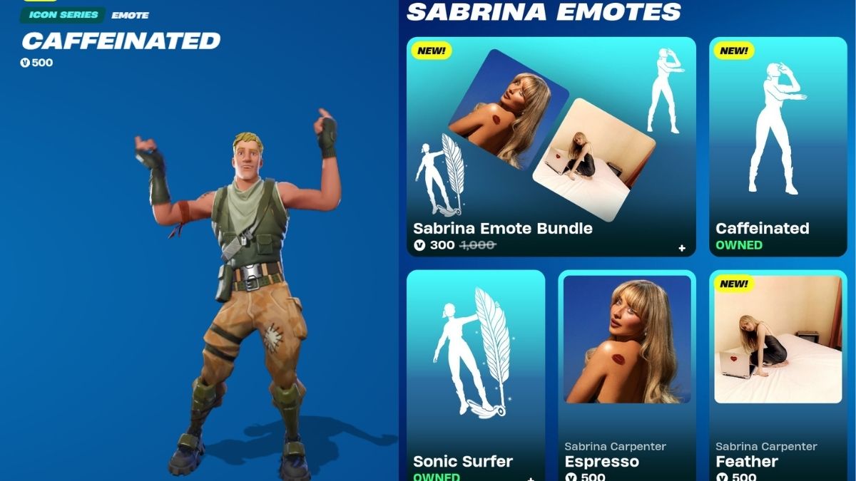 Fortnite Sabrina Emotes bundle